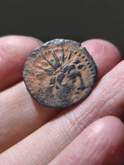 星盘世界钱币一月三十一日丝绸之路 - 世界古典币专场 - 塞琉古帝国-安条克八世芒冠 雅典-新猫铜币 背面就是著名的雅典新猫 塞琉古对雅典进行过友好赞助 这在双方钱币都有体现