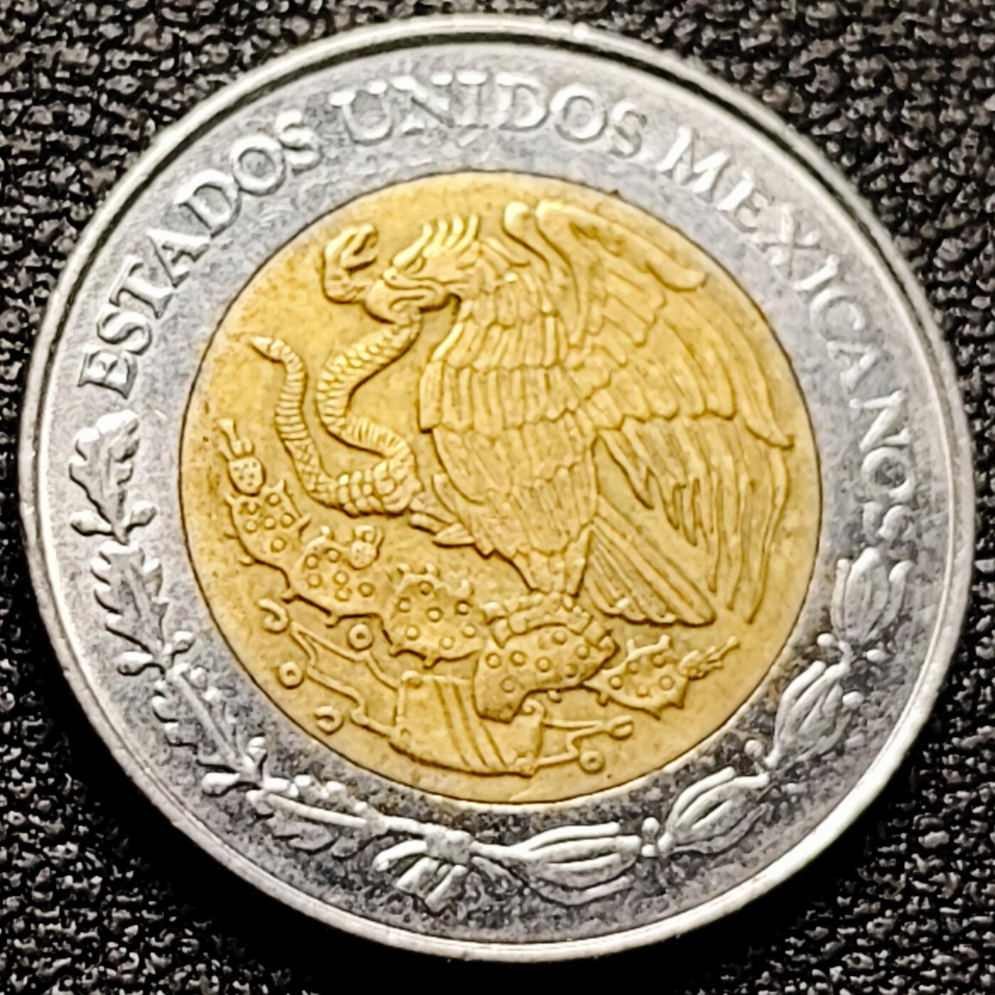 泉币菌-第174场- 精品福利场 。