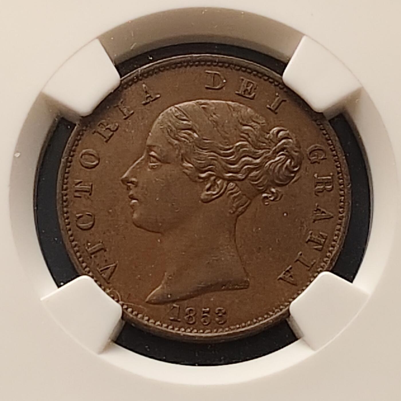 【全场包邮】纯粹捡漏拍497场-持续更新中