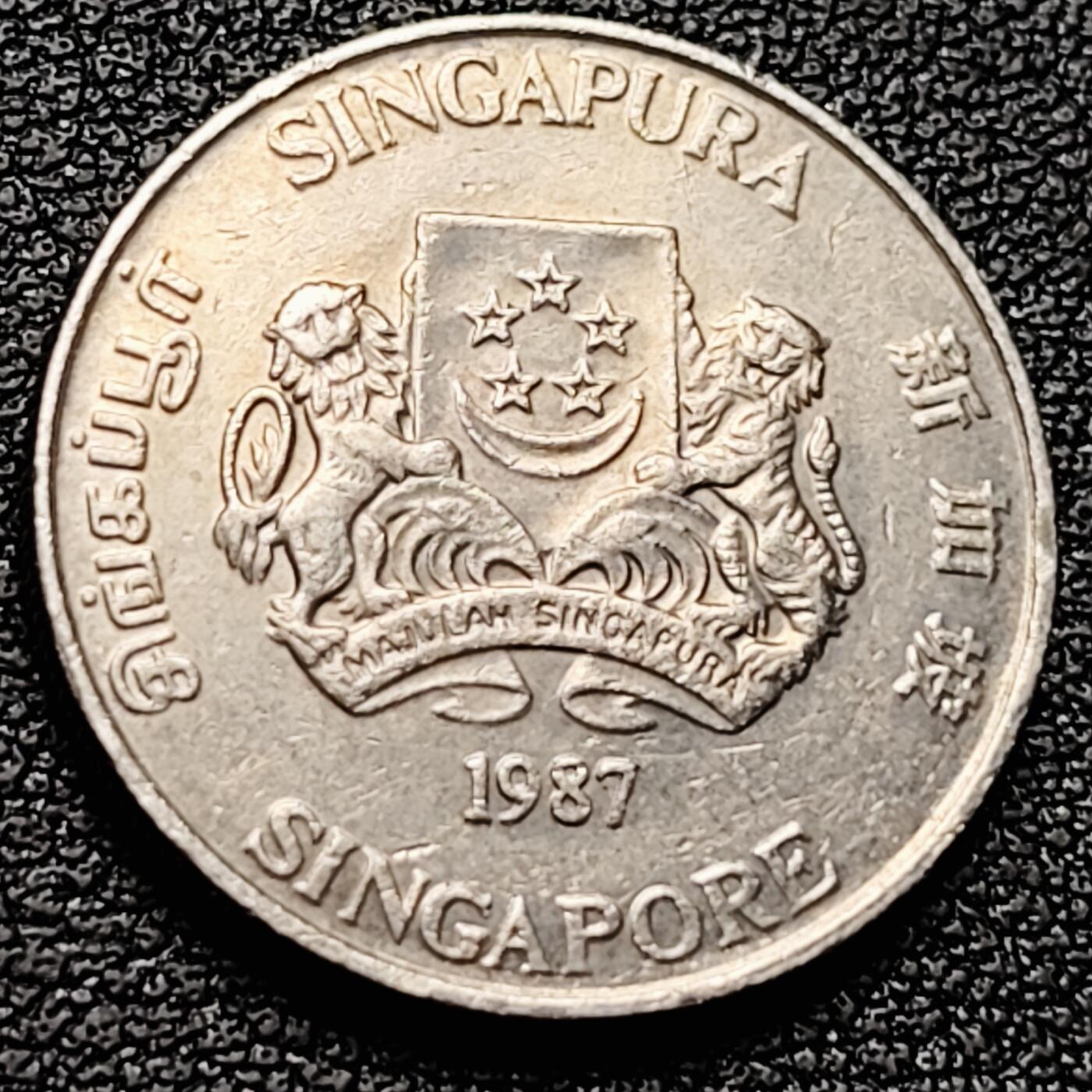 泉币菌-第174场- 精品福利场 。