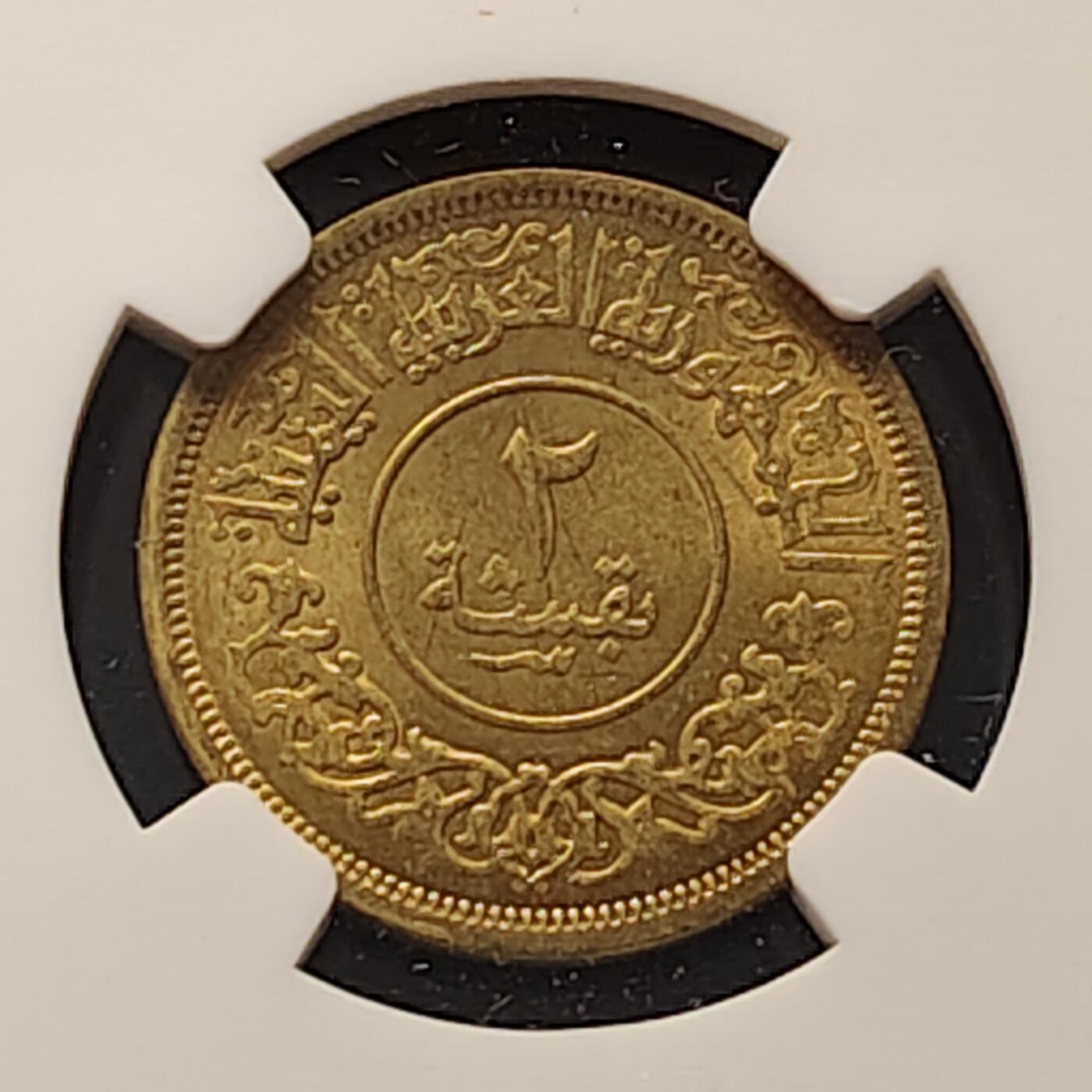 【全场包邮】纯粹捡漏拍497场-持续更新中