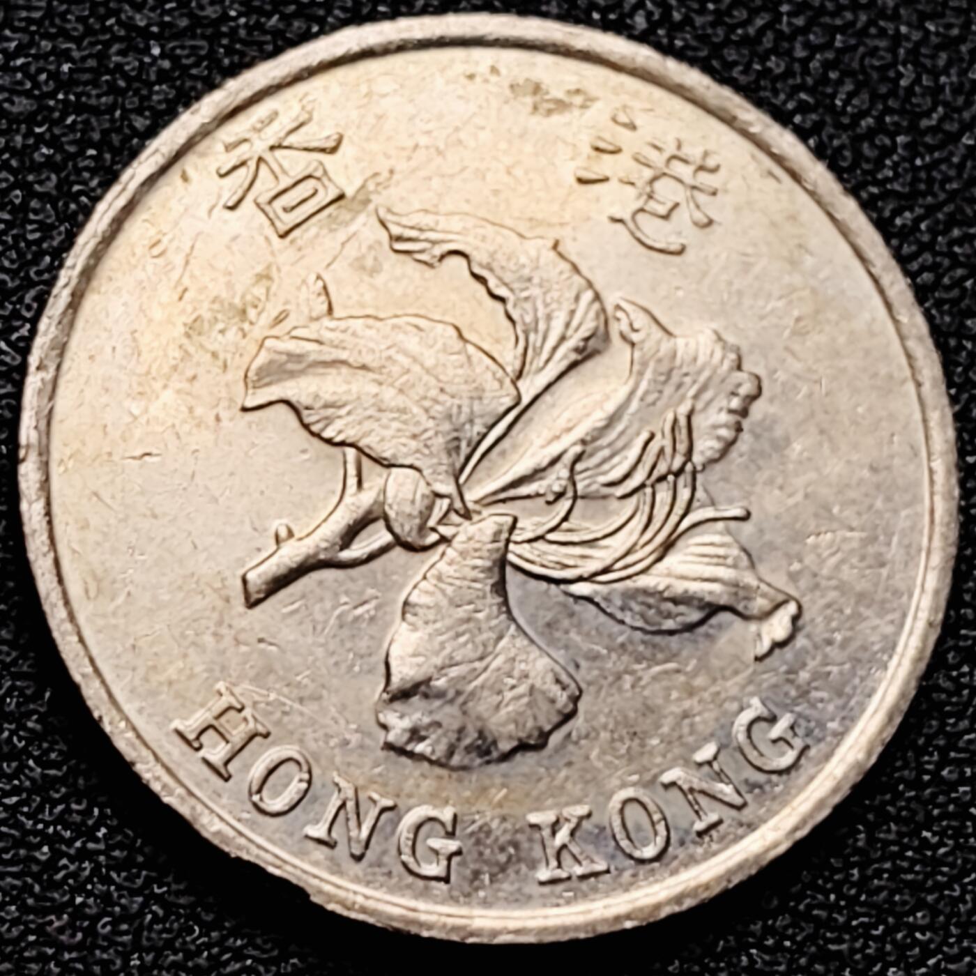 泉币菌-第174场- 精品福利场 。