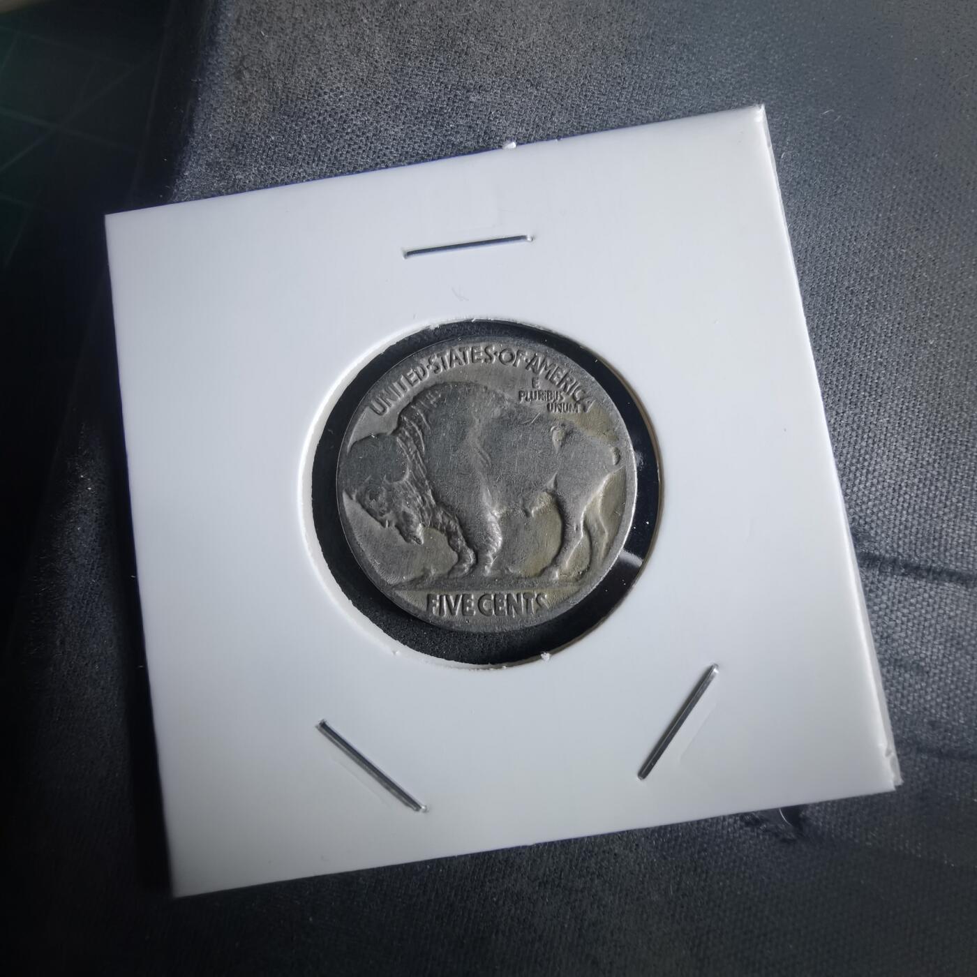 沼泽如烟--第972场 美国野牛五分