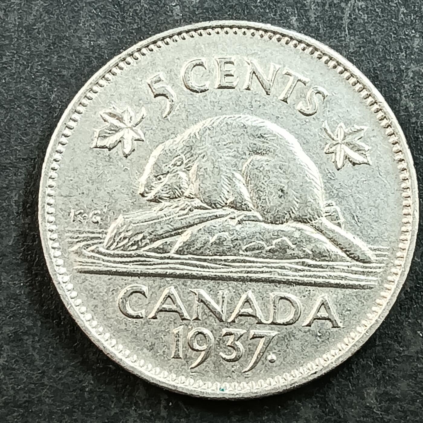 逸泉钱币2026第十五场世界钱币纪念币纸钞A883-1213A 1009 加拿大5分海狸动物