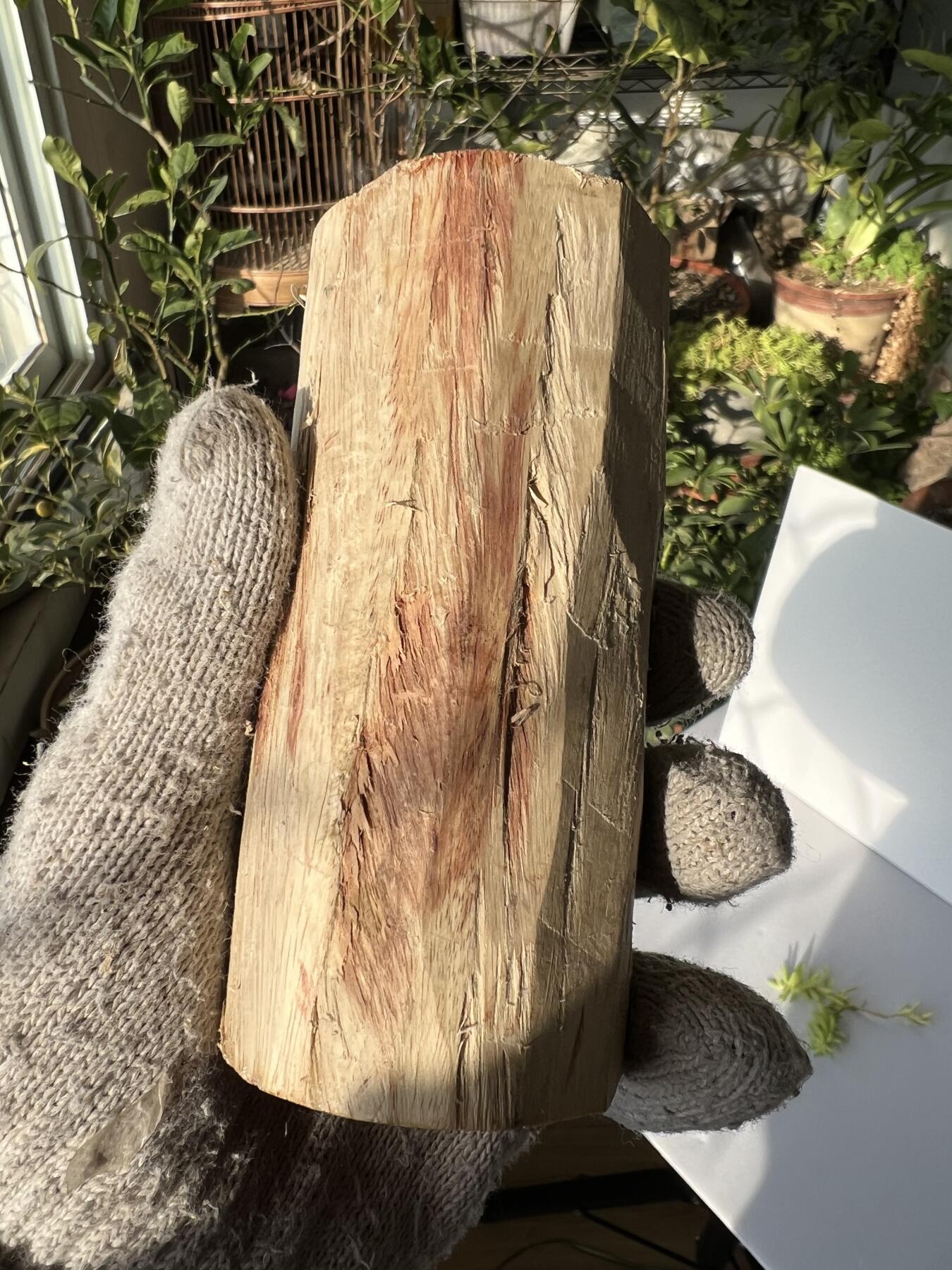 零元拍：  NO.119海南黄花梨原料。尺寸约125/60MM