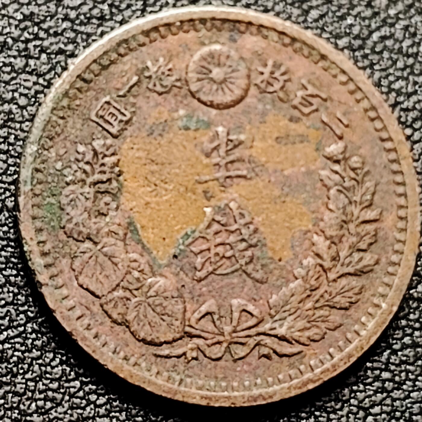 泉币菌-第174场- 精品福利场 。