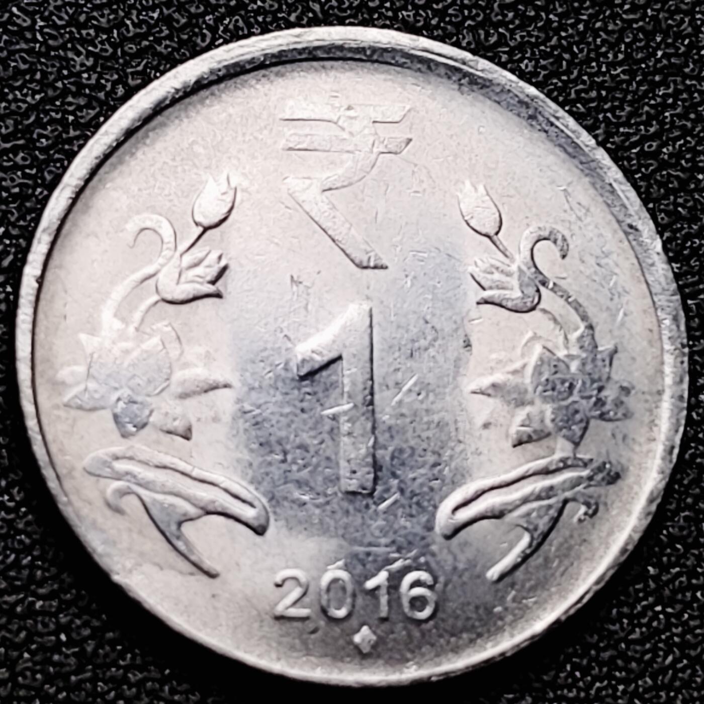 泉币菌-第174场- 精品福利场 。