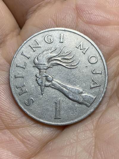 2026年第十四场(总第一百八十三场）外国好品散币场(免佣金) - 坦桑尼亚🇹🇿1974年1先令(第一套流通硬币)