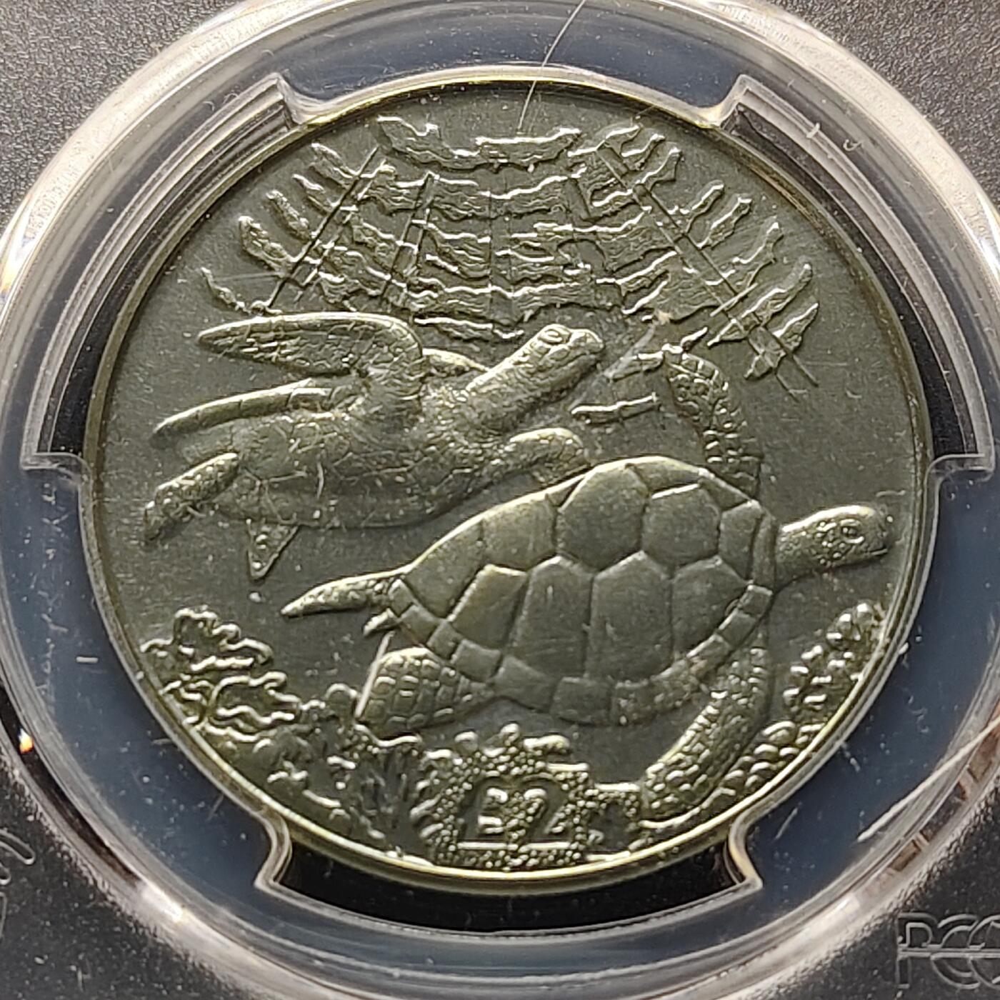 【全场包邮】纯粹捡漏拍497场-持续更新中