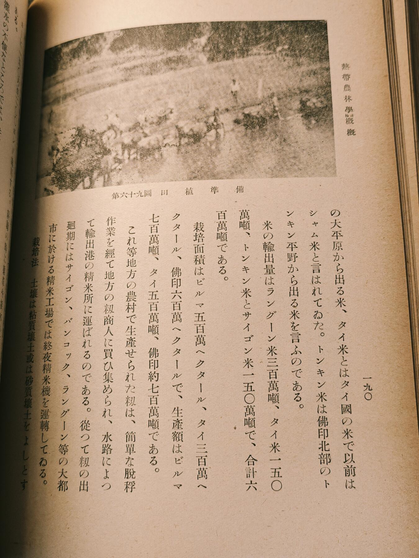 罗岚⭐爱藏⭐甄选专拍第四场-分享拍场赚佣（实体经营）