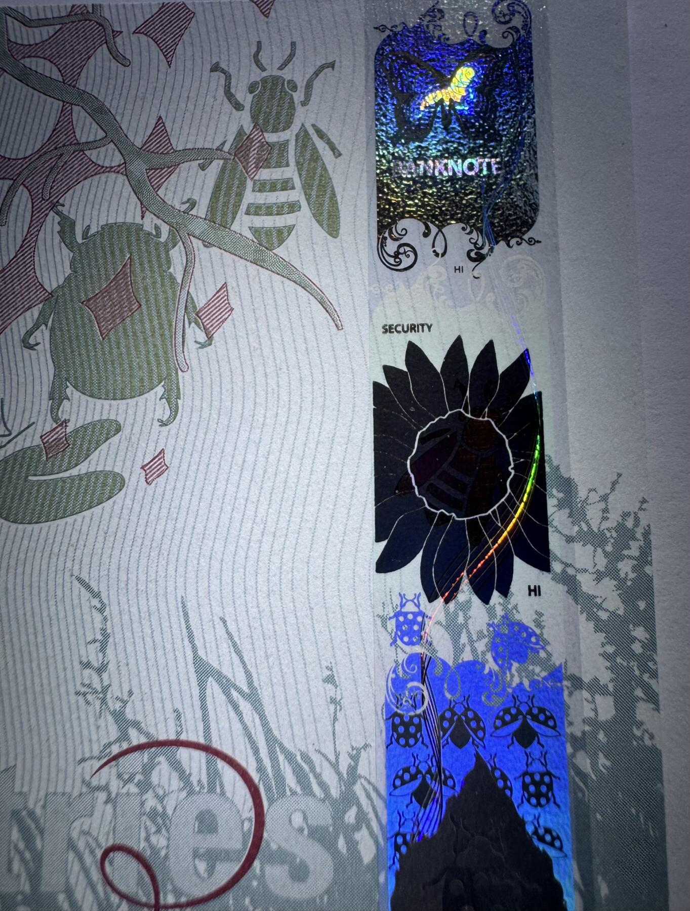 2026第2场（总第229期）：精品测试钞、连体钞综合场