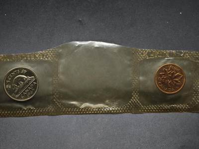 【淘币小摊】限时拍第八百五十三拍  散币银币场  满百包邮可预留两周  周一统一发货  - 加拿大1965年2枚塑封