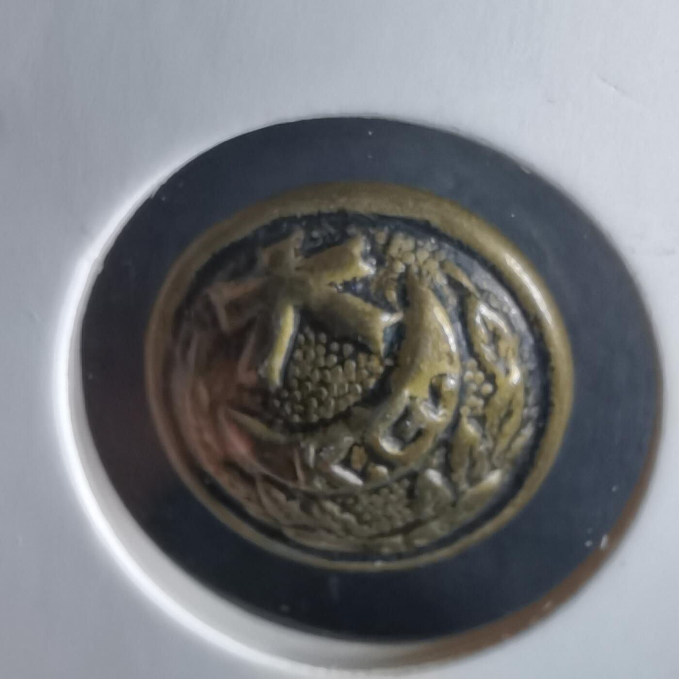 沼泽如烟--第972场 纽扣