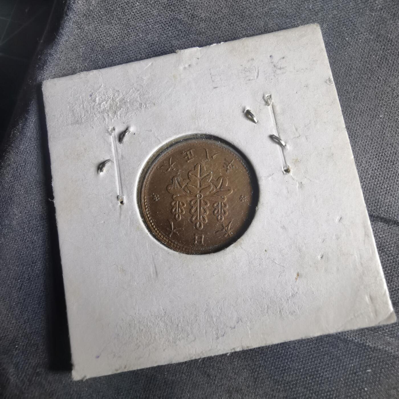 沼泽如烟--第972场