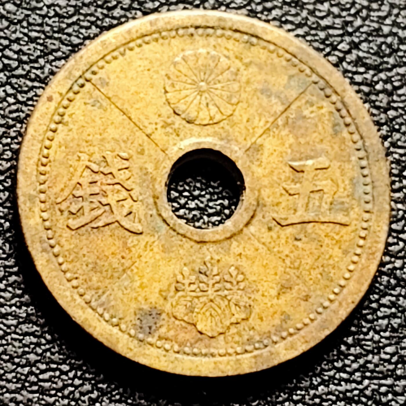 泉币菌-第174场- 精品福利场 。