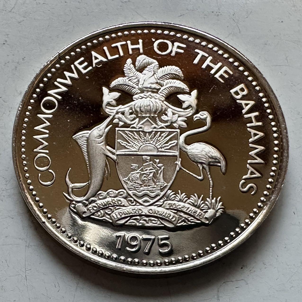 🌹外币初藏🌹🐯2026年第11场  每周二四六晚8️⃣点 接代拍