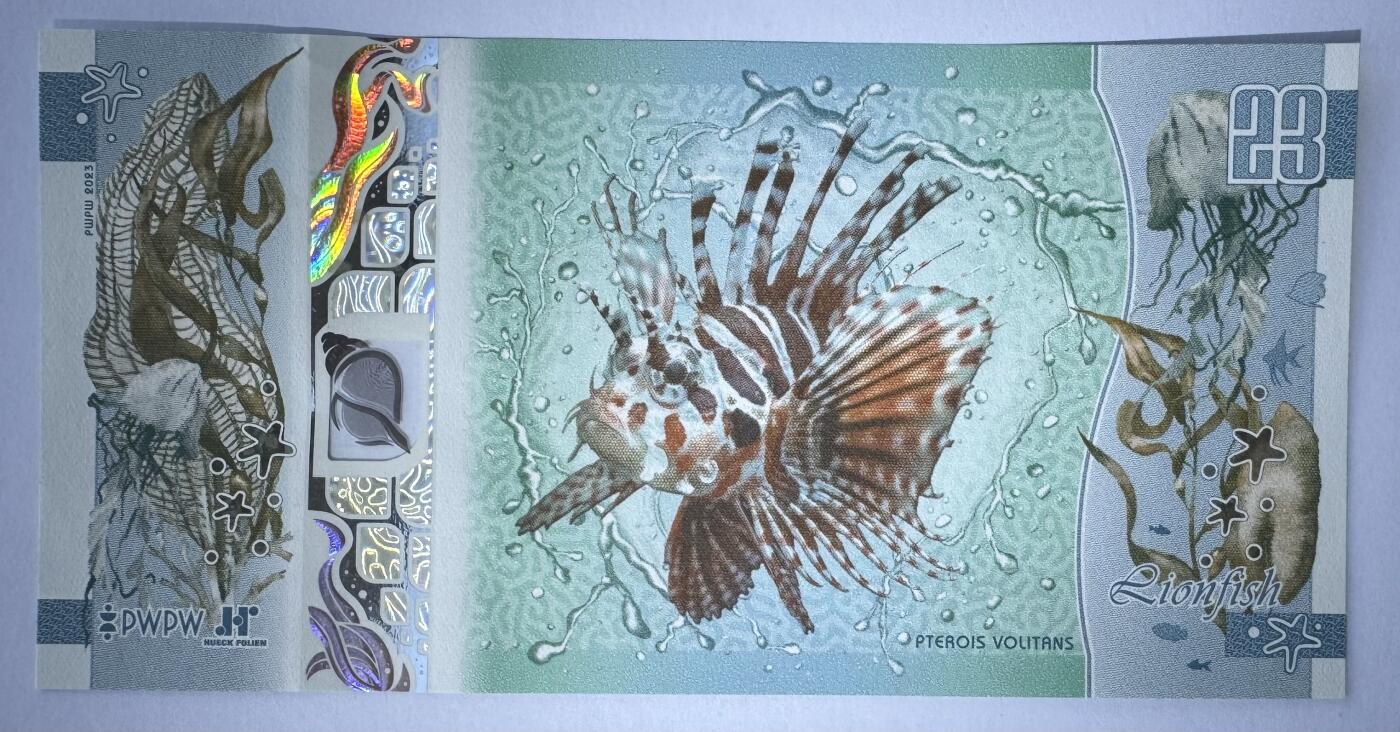 2026第2场（总第229期）：精品测试钞、连体钞综合场 版二/海螺窗 波兰PWPW“狮子鱼”窗口测试钞册装UNC