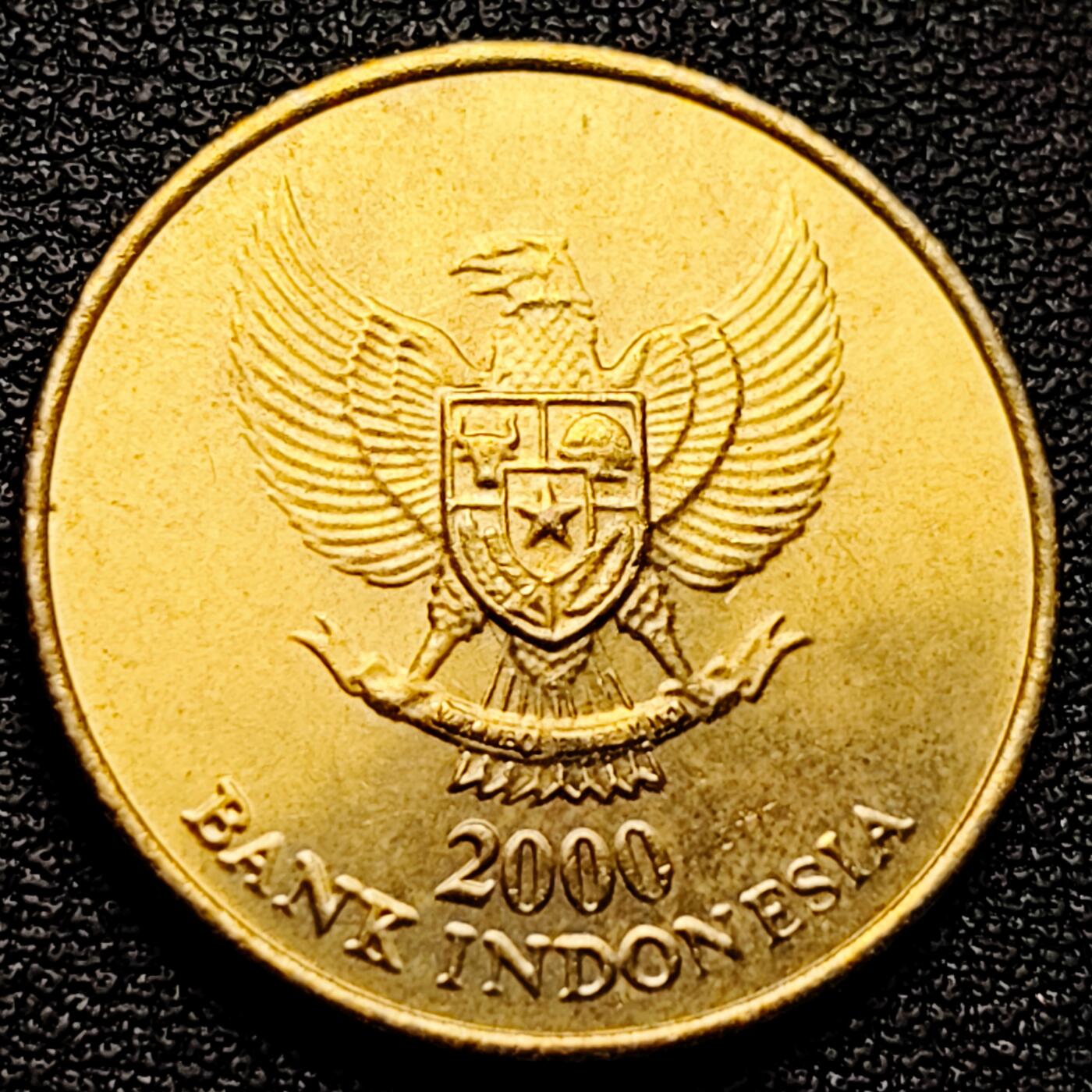 泉币菌-第174场- 精品福利场 。