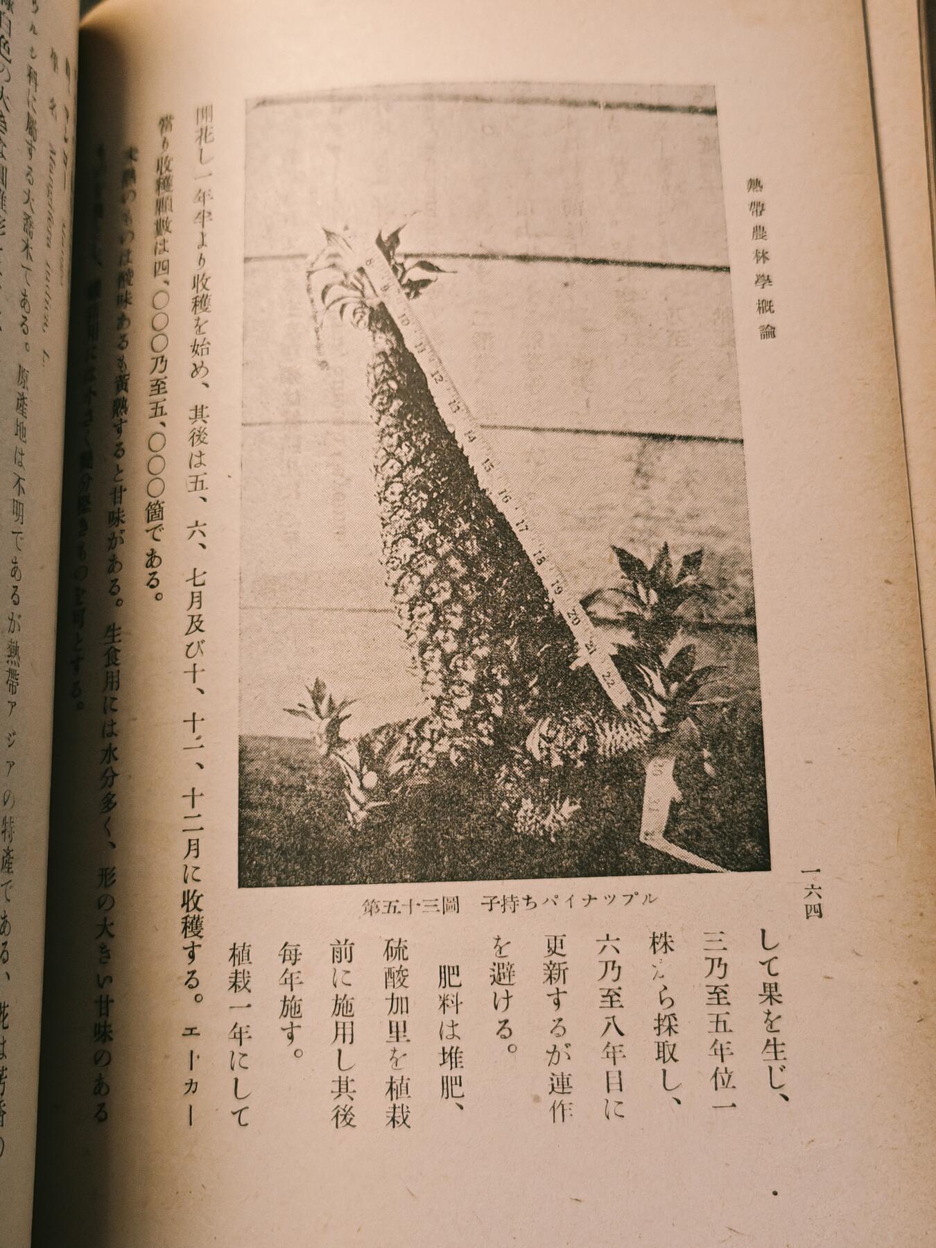 罗岚⭐爱藏⭐甄选专拍第四场-分享拍场赚佣（实体经营）