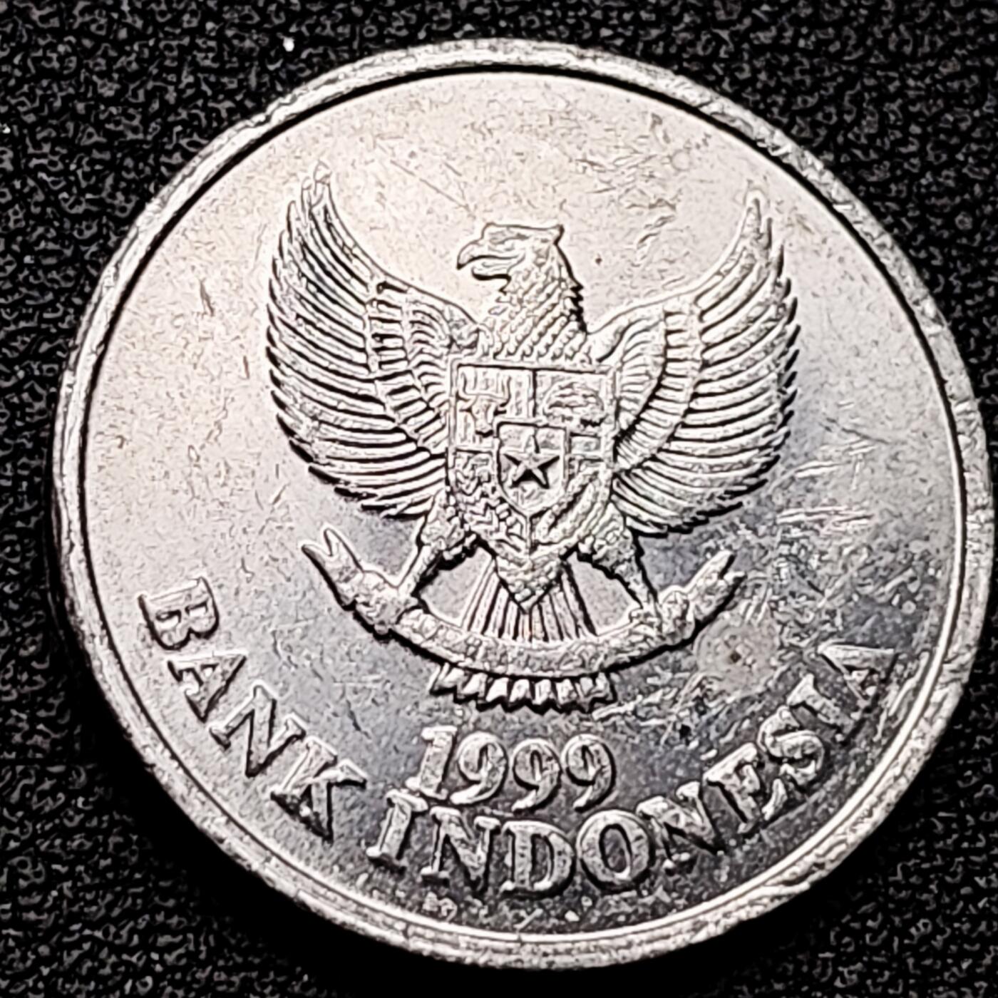 泉币菌-第174场- 精品福利场 。