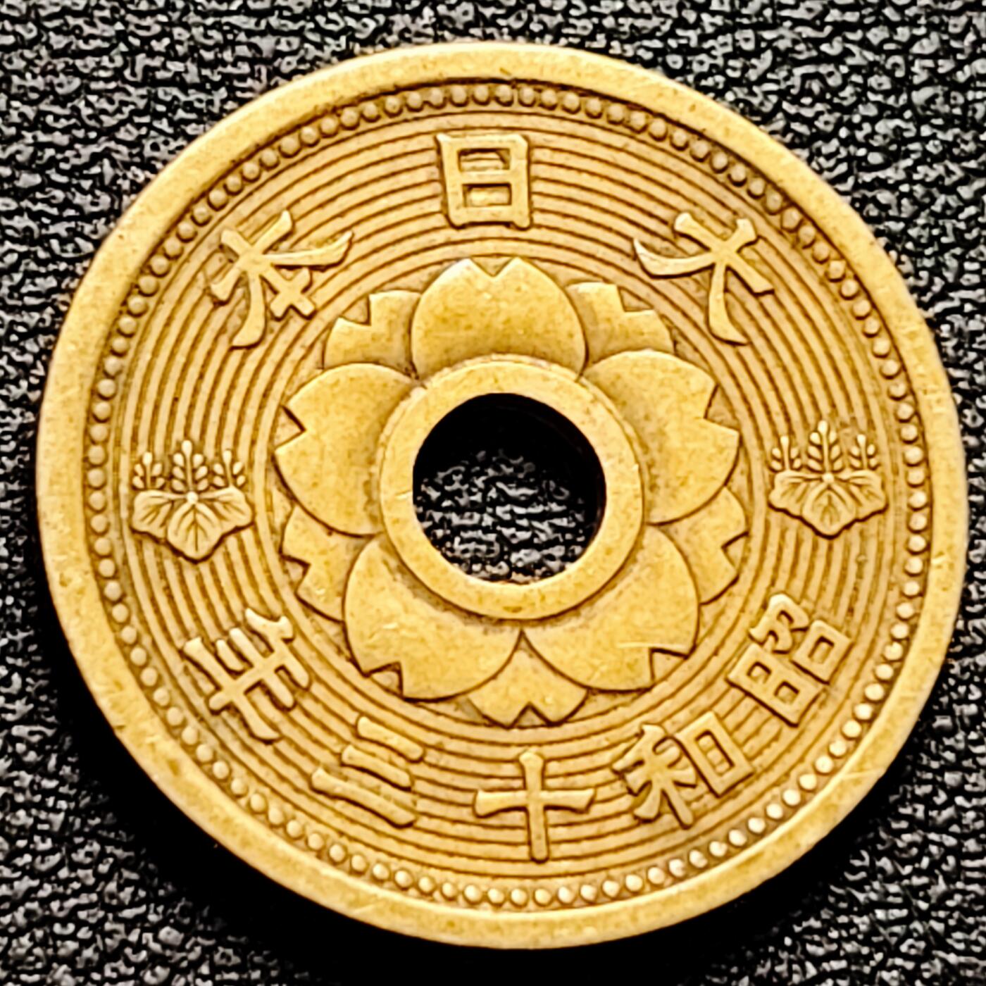 泉币菌-第174场- 精品福利场 。