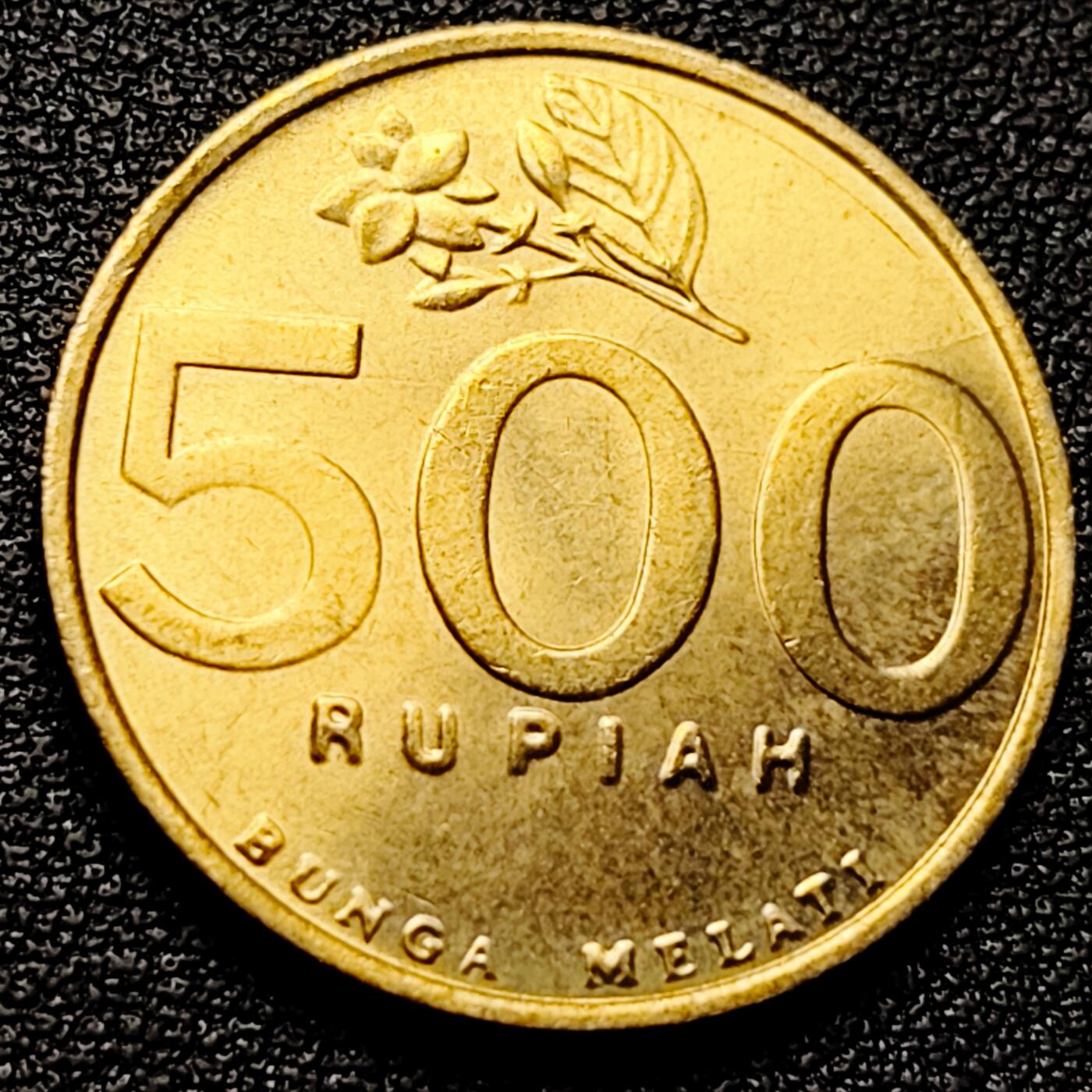 泉币菌-第174场- 精品福利场 。