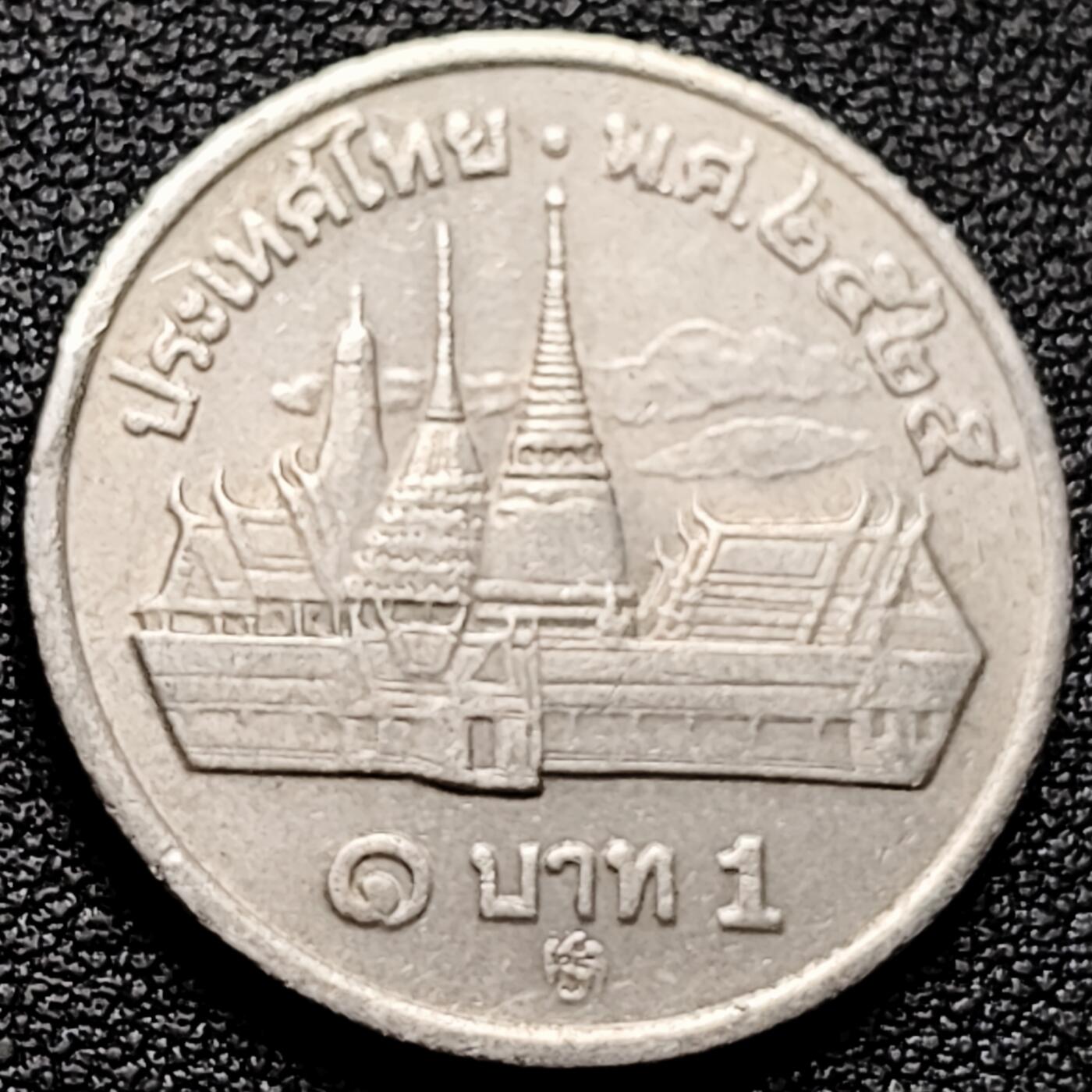 泉币菌-第174场- 精品福利场 。