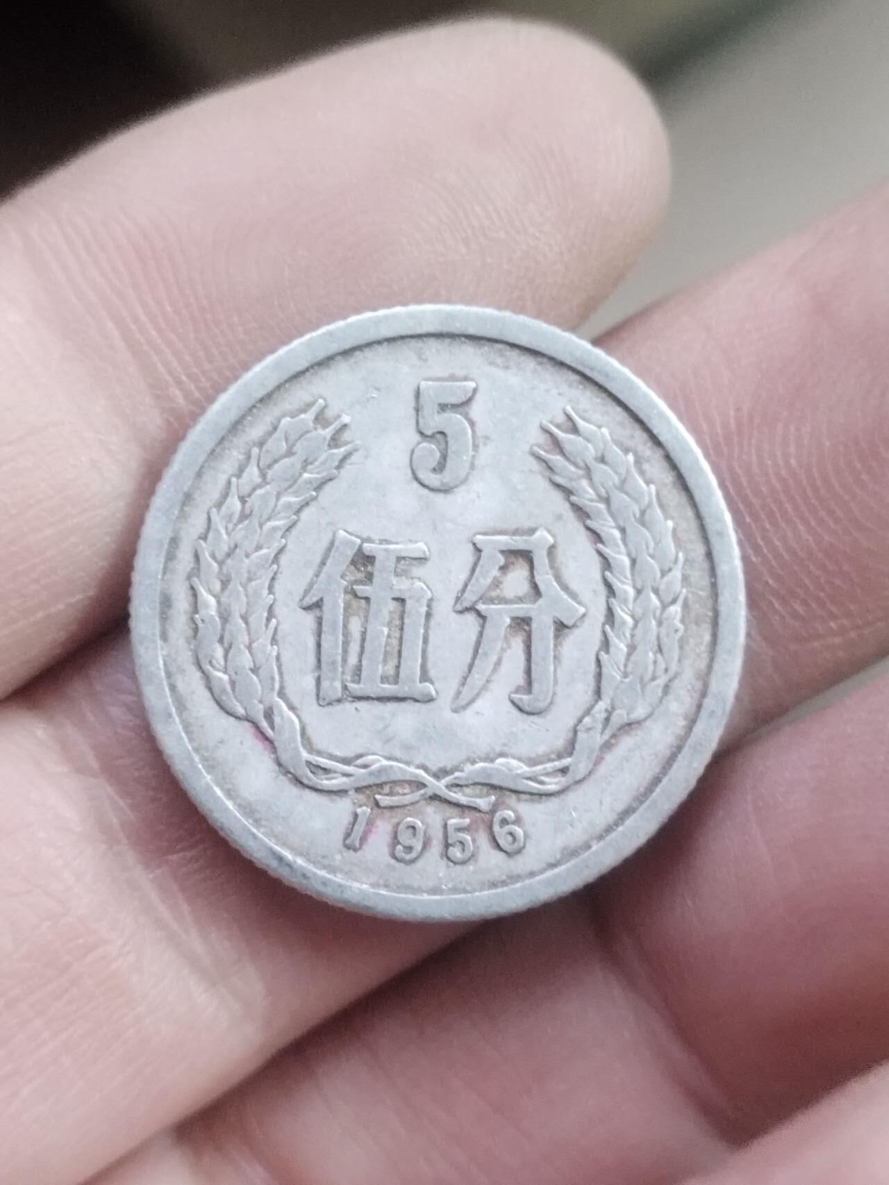 小小小钱币 1956年五分。