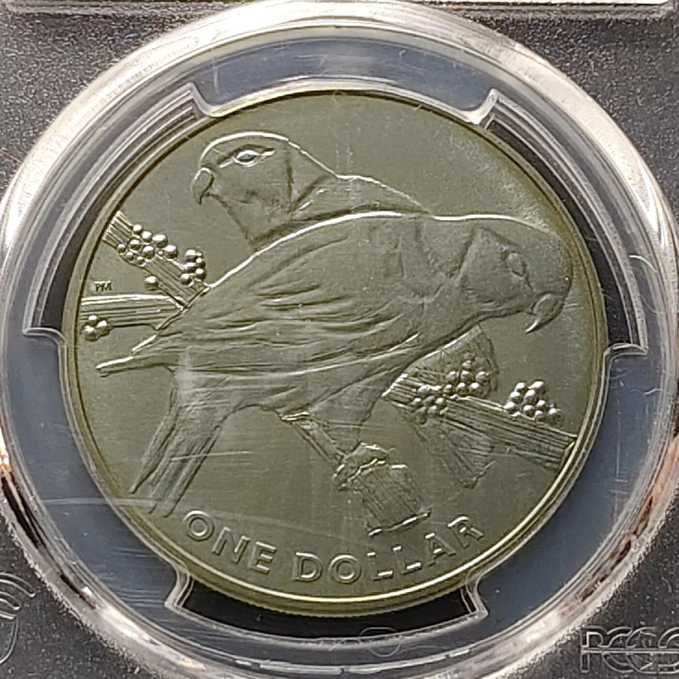 【全场包邮】纯粹捡漏拍497场-持续更新中