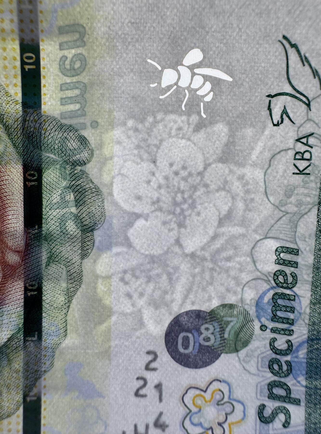 2026第2场（总第229期）：精品测试钞、连体钞综合场