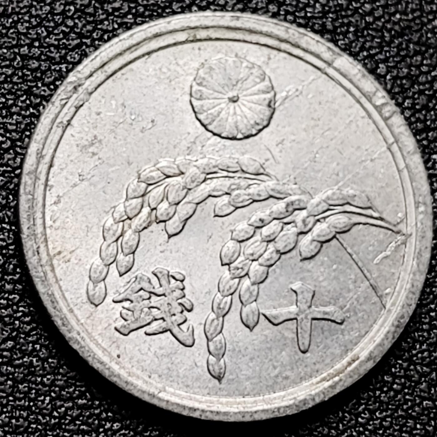 泉币菌-第174场- 精品福利场 。