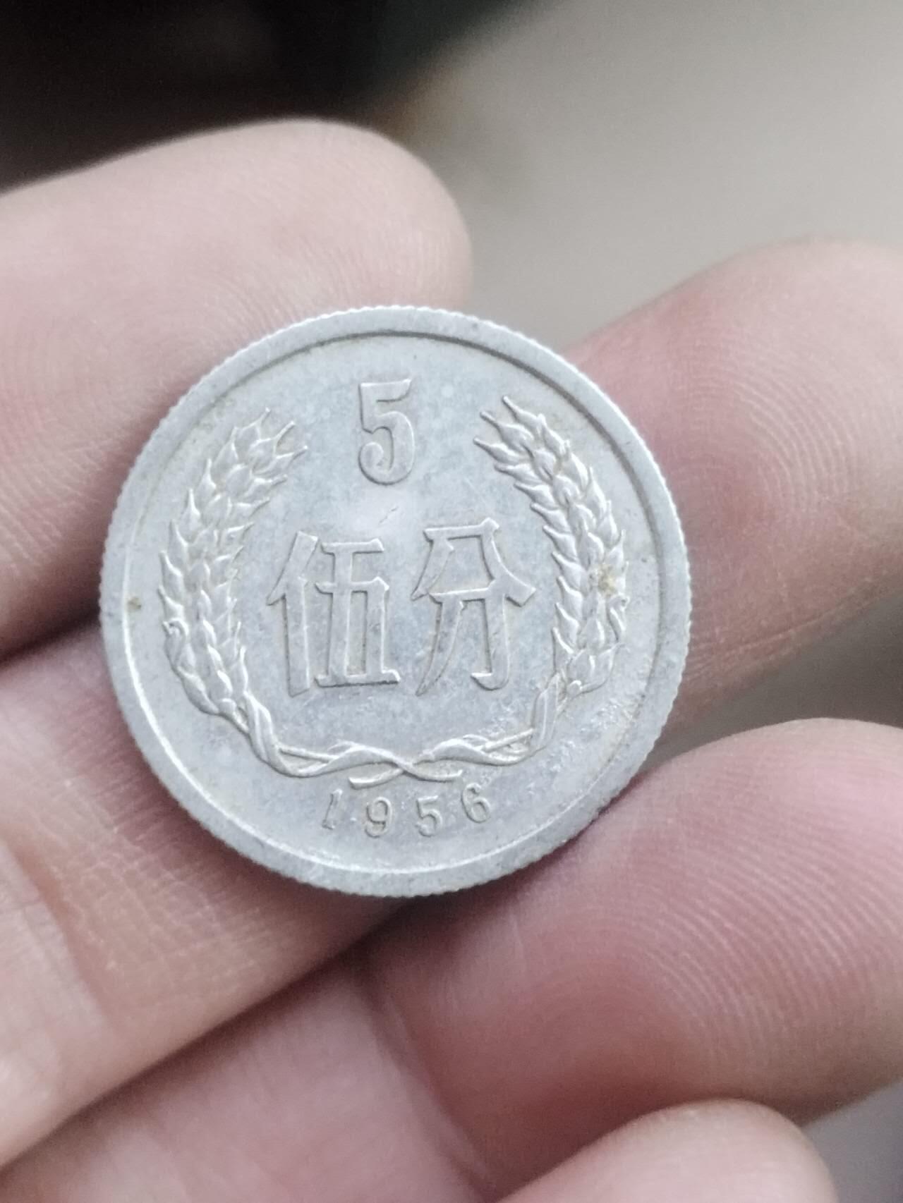 小小小钱币 1956年五分。