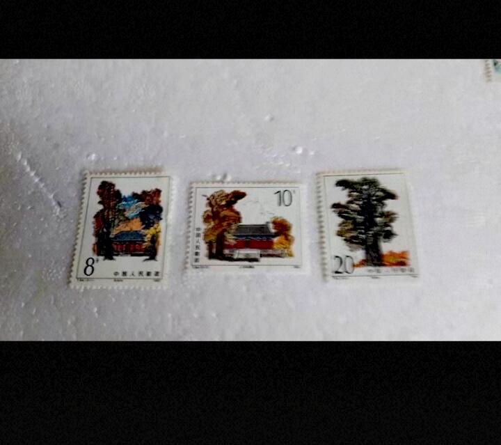 $宁静致远$ 2026年1月中国邮票拍卖