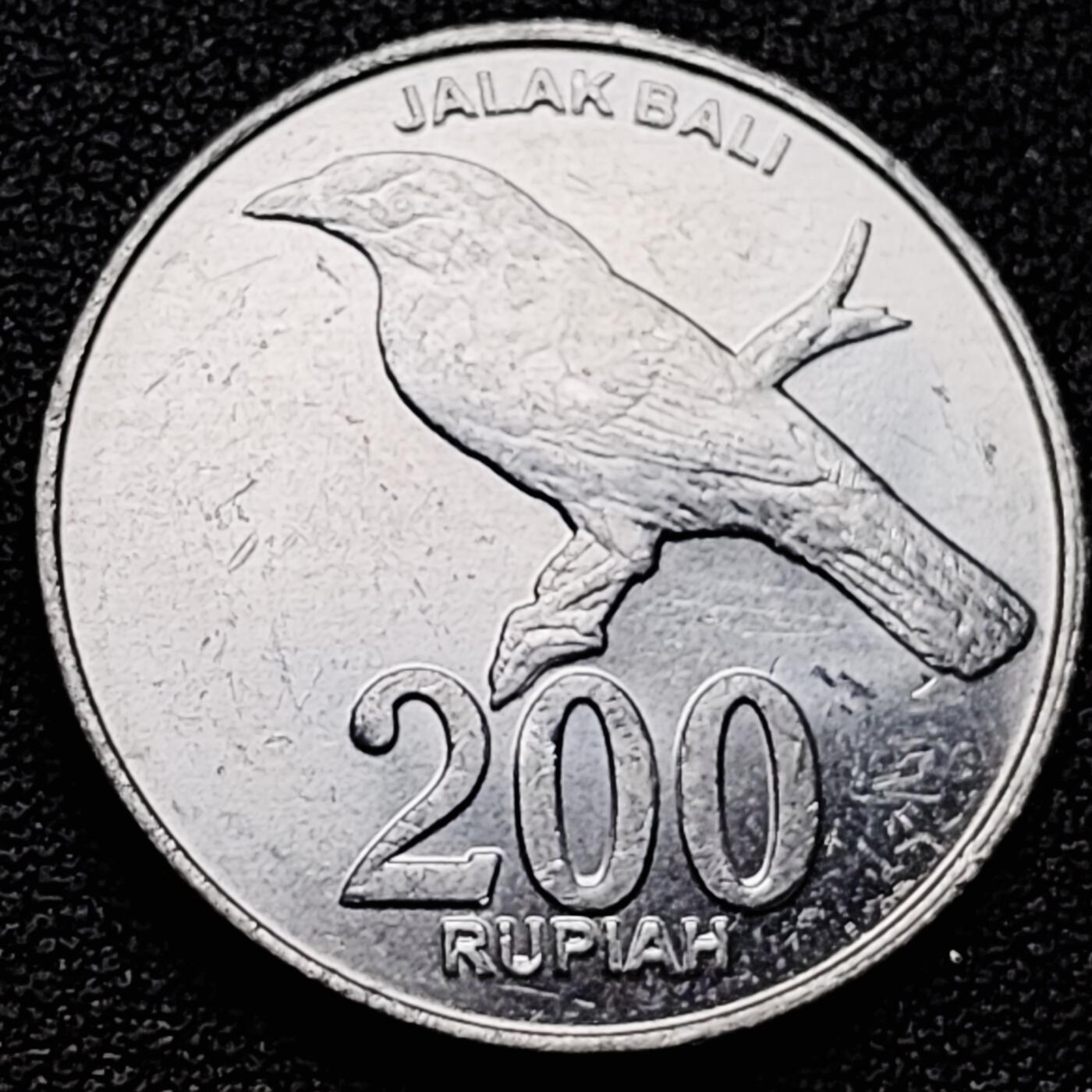 泉币菌-第174场- 精品福利场 。