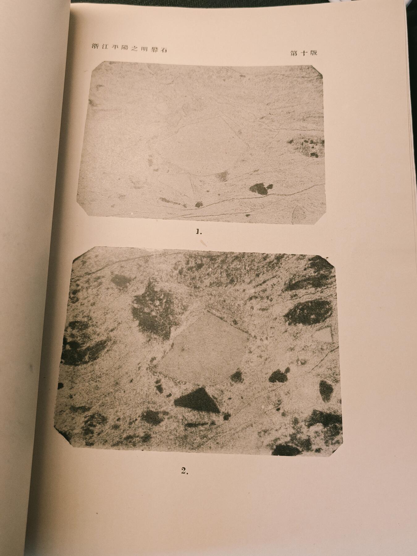 罗岚⭐爱藏⭐甄选专拍第四场-分享拍场赚佣（实体经营）