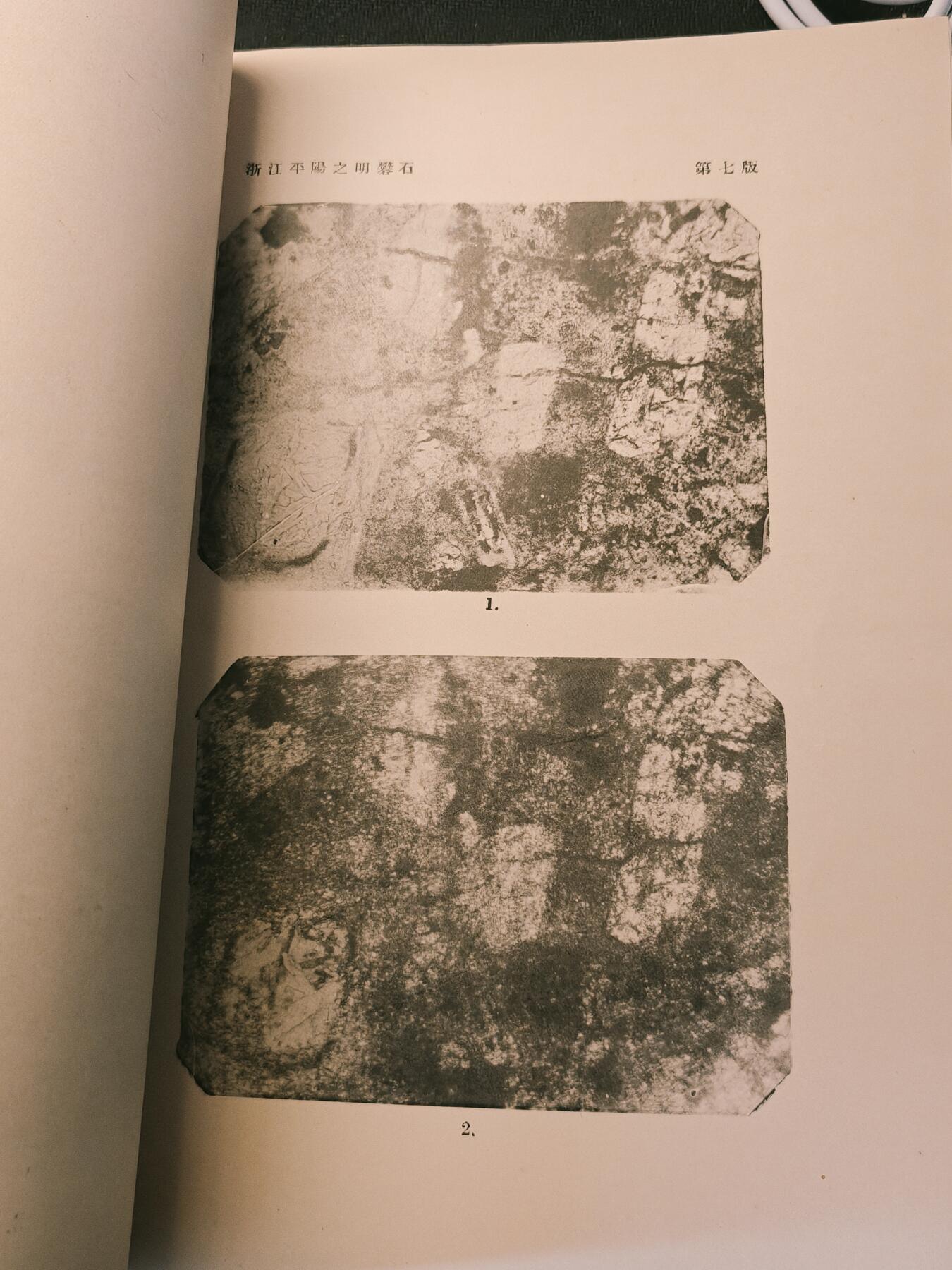 罗岚⭐爱藏⭐甄选专拍第四场-分享拍场赚佣（实体经营）