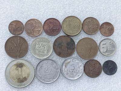 第一海外回流一元起拍收藏 散集专场  第295期 - 土耳其硬币🇹🇷16枚