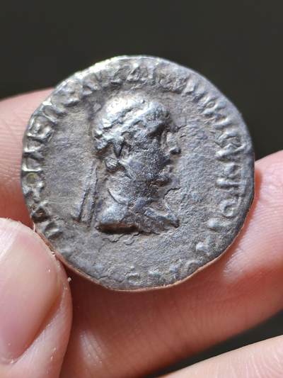 星盘世界钱币一月三十一日丝绸之路 - 世界古典币专场 - 极其少见 印度-希腊王国 Archebius 是毛厄斯征服之前，最后一个在塔克西拉统治的印度一希腊国王。但是近年来发现的钱币学证据证明，他的统治时间很有可能在毛厄斯之后(公元前75年一前65年)。