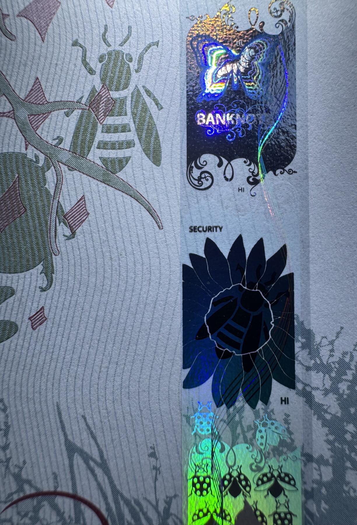 2026第2场（总第229期）：精品测试钞、连体钞综合场