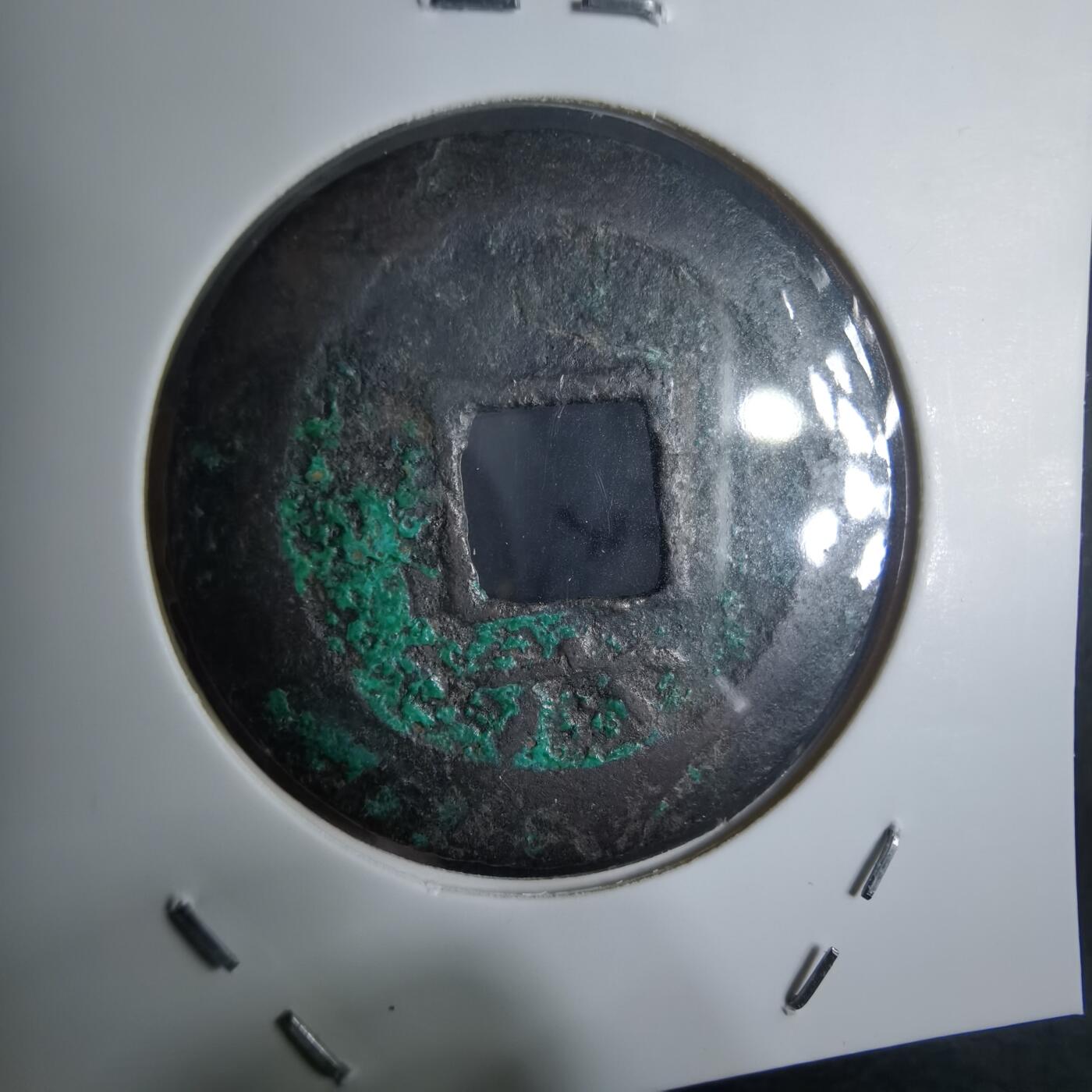 沼泽如烟--第972场