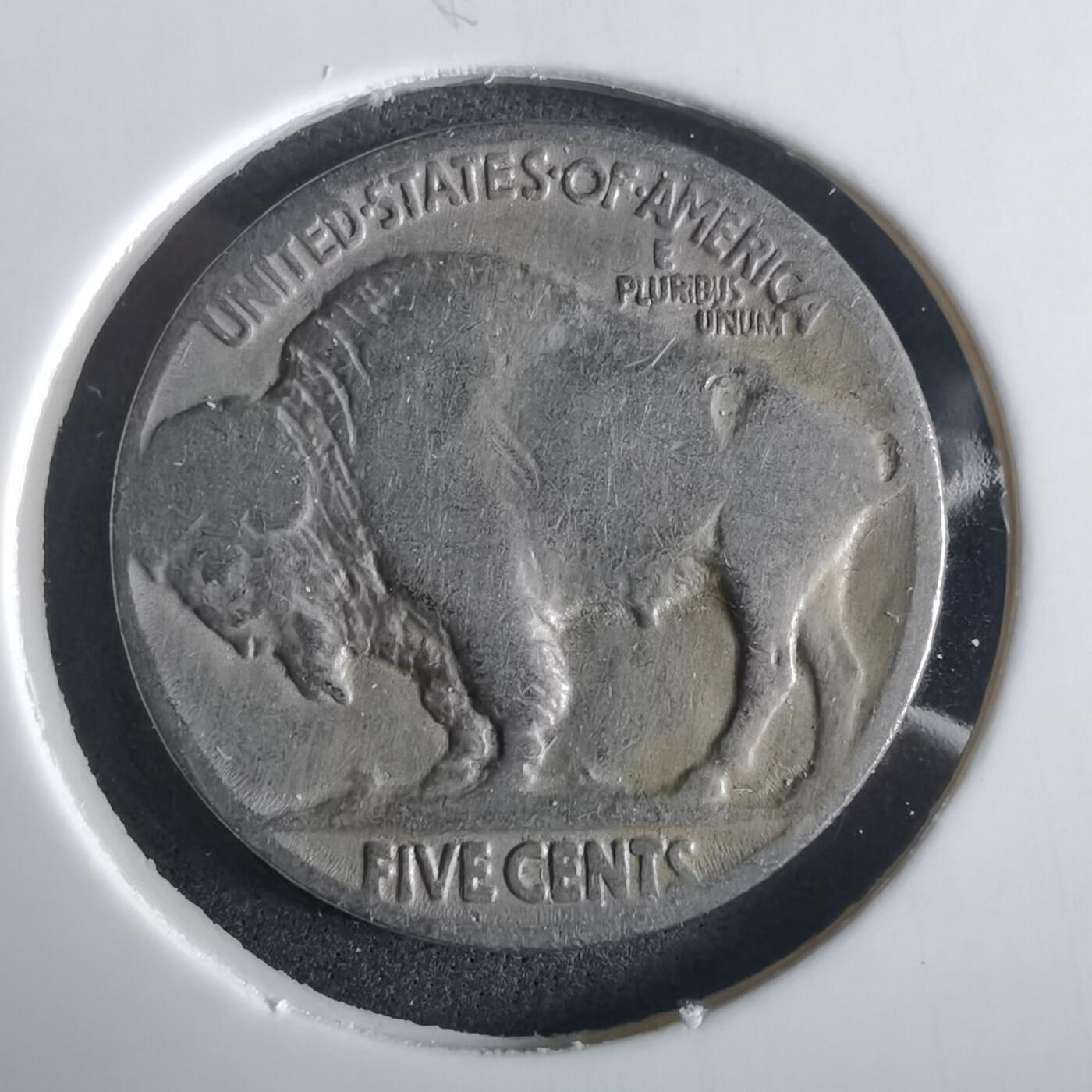 沼泽如烟--第972场 美国野牛五分