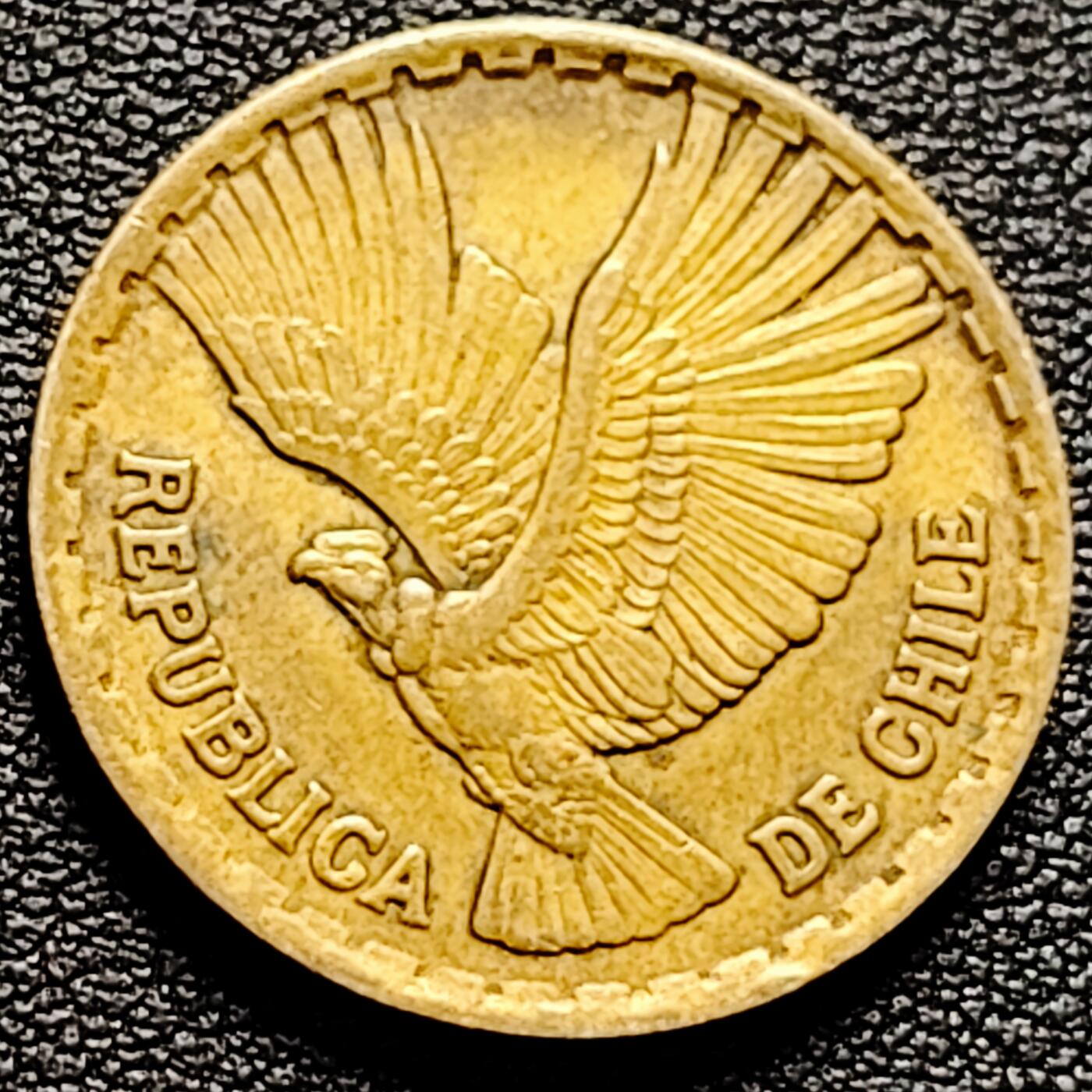 泉币菌-第174场- 精品福利场 。