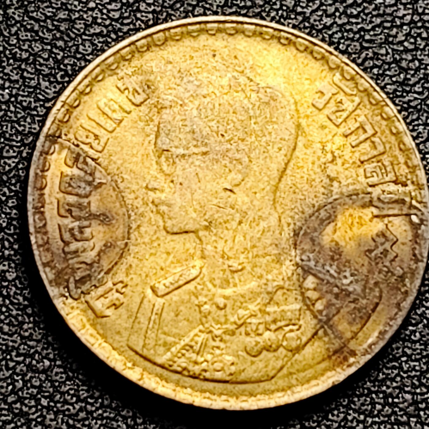 泉币菌-第174场- 精品福利场 。