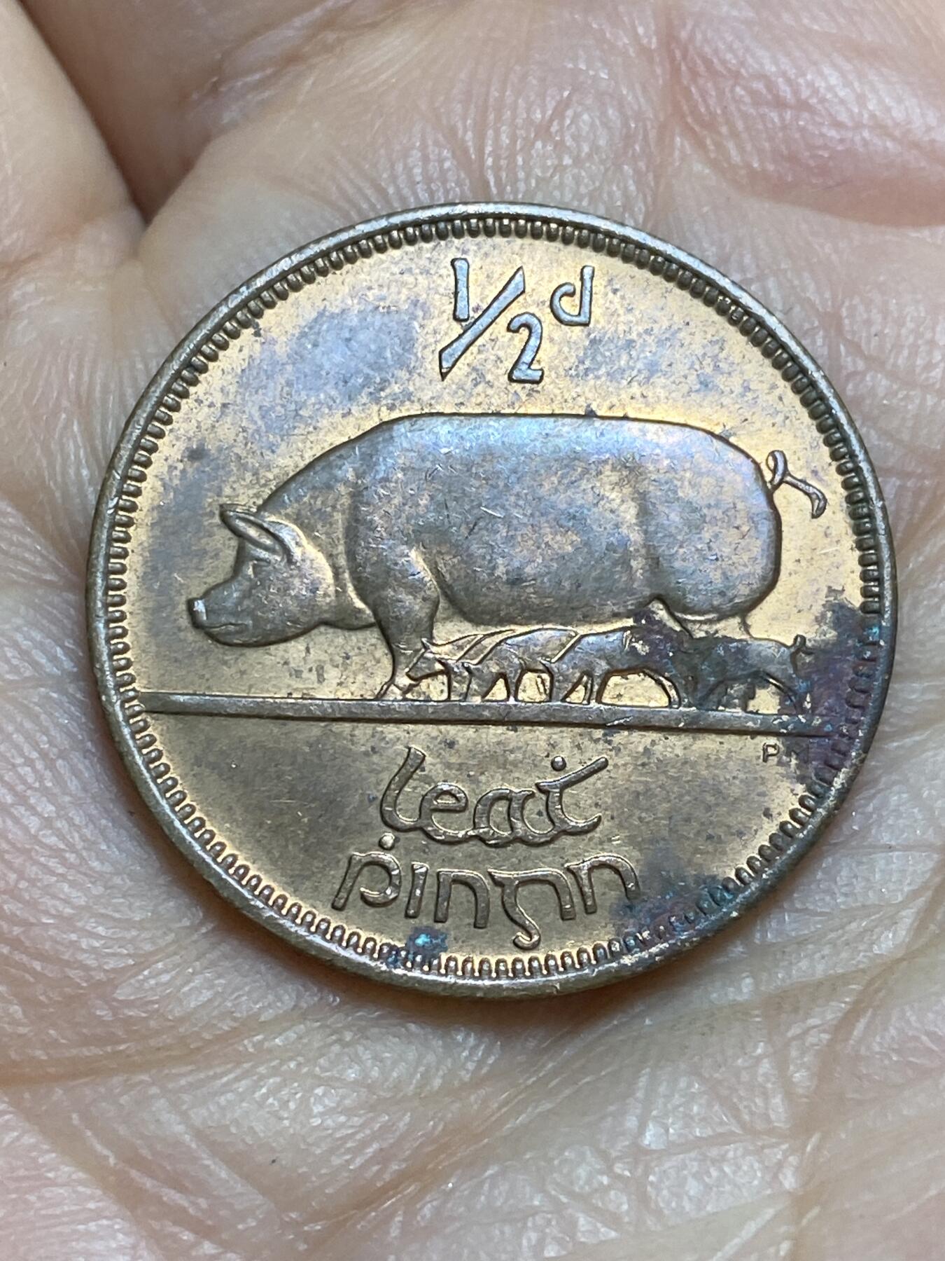 2026年第十四场(总第一百八十三场）外国好品散币场(免佣金) 爱尔兰🇮🇪1966年1/2便士(共和国时期第一套)