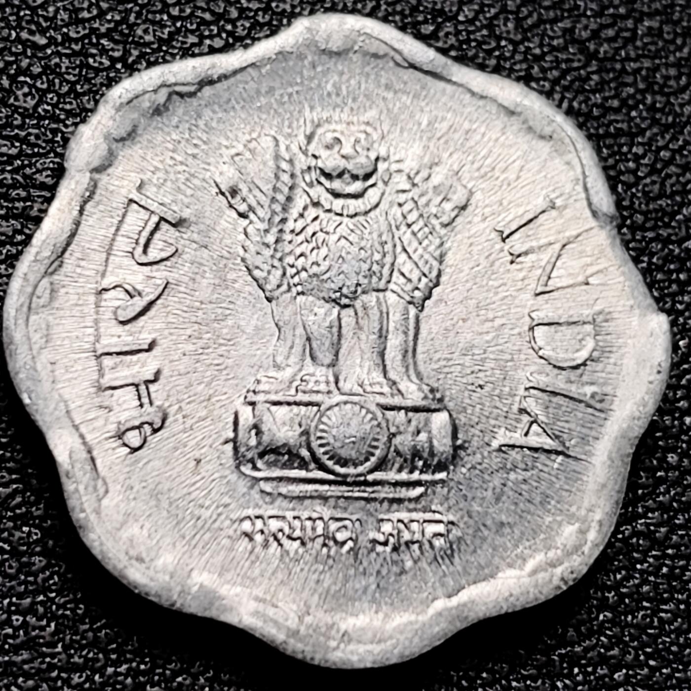 泉币菌-第174场- 精品福利场 。