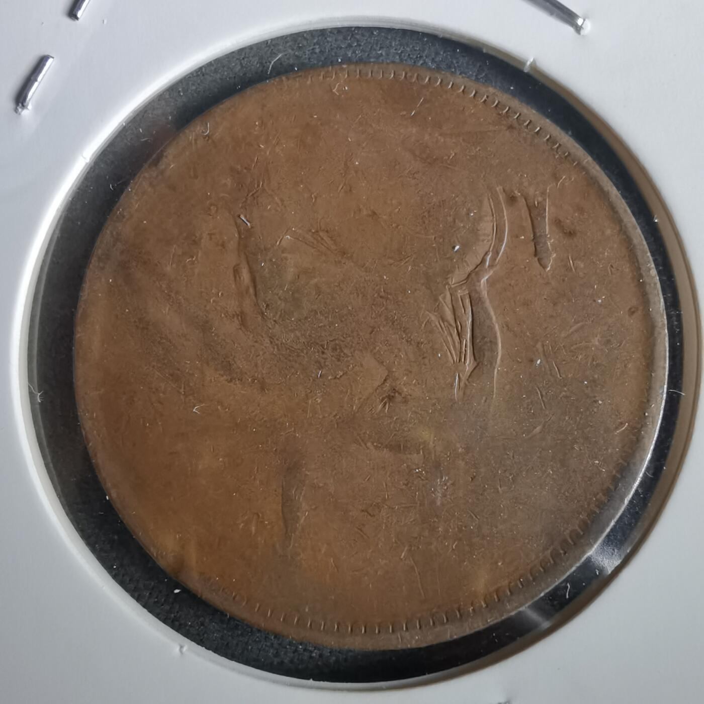 沼泽如烟--第973场 英国老便士