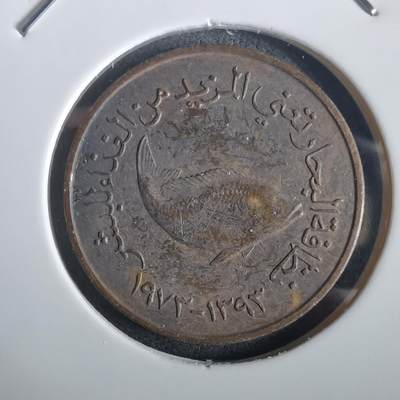 沼泽如烟--第973场 - 阿联酋