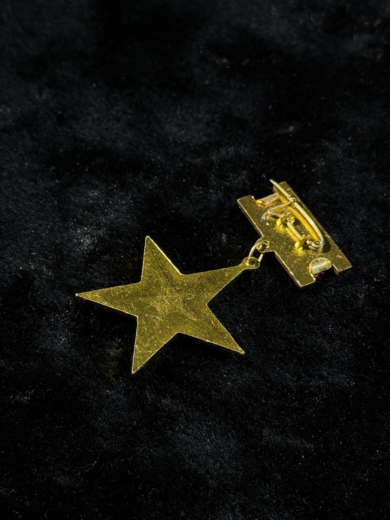 戎马世界章牌大赏第110期 越南英雄母亲奖章，铝制