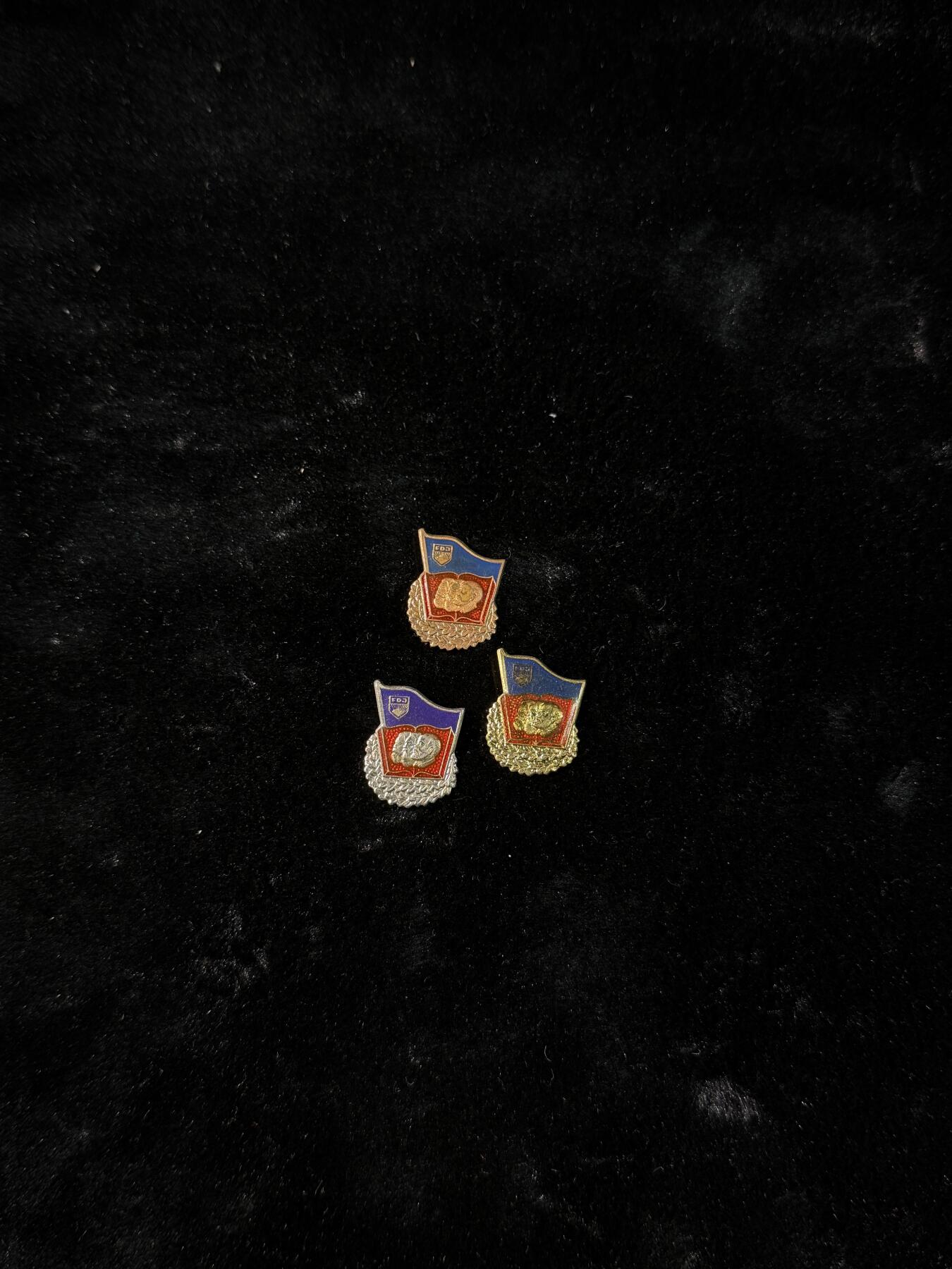 戎马世界章牌大赏第110期 东德小证章一组