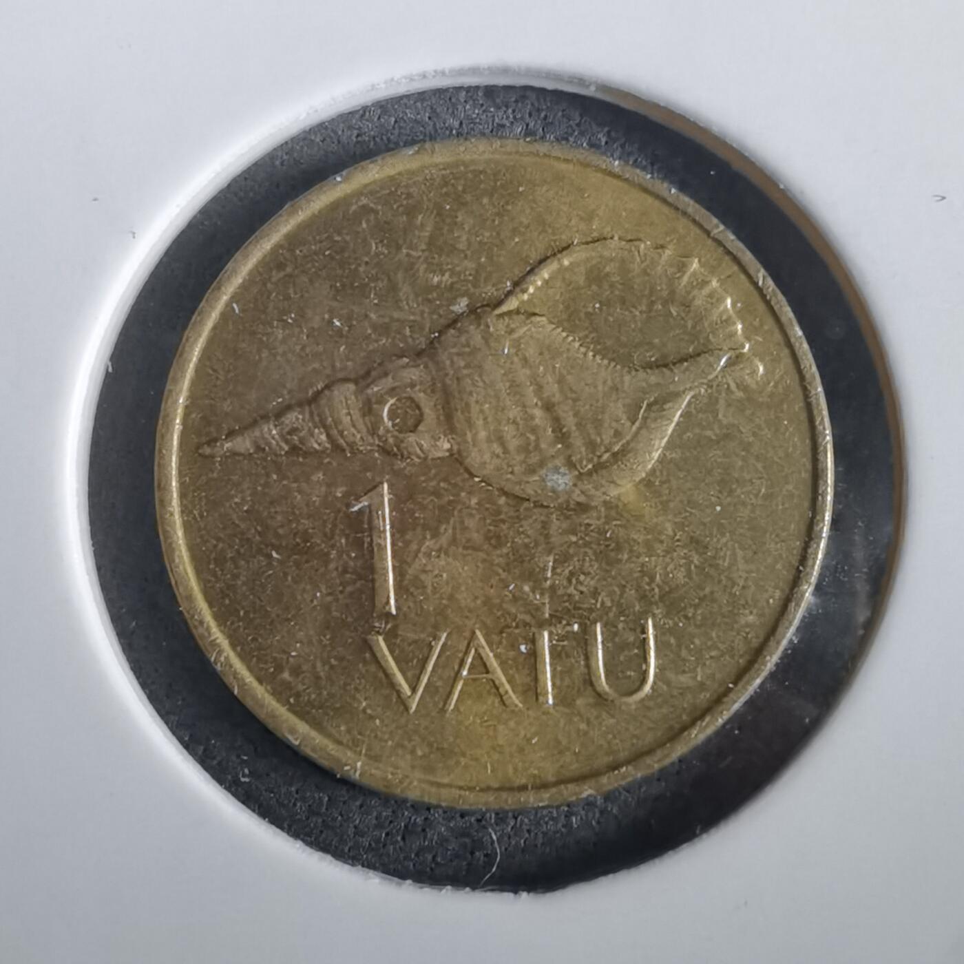 沼泽如烟--第973场